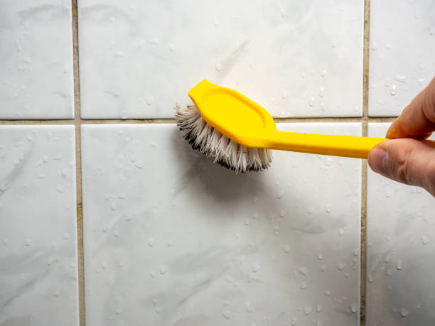 Water Damage Restoration in Huntley, IL