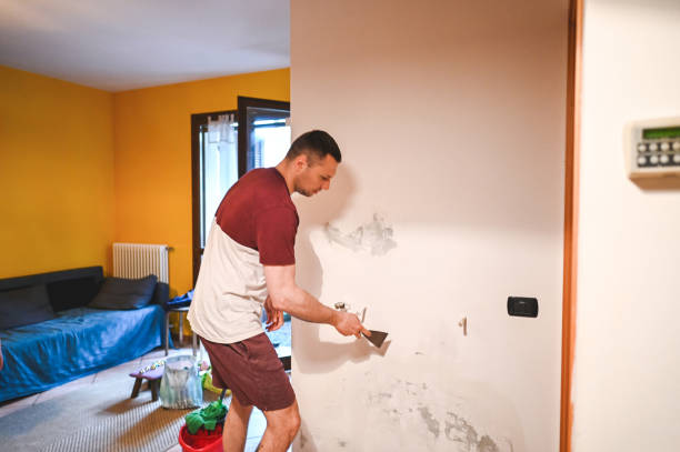 Huntley, IL Mold Removal Company