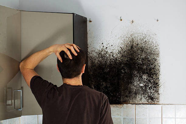 Best Crawl Space Mold Removal  in Huntley, IL